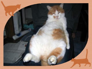 û݂vƂ݂̎Ƃɂ˂łB