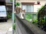 ɗ(^-^)
