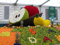 Chelsea Flower Show